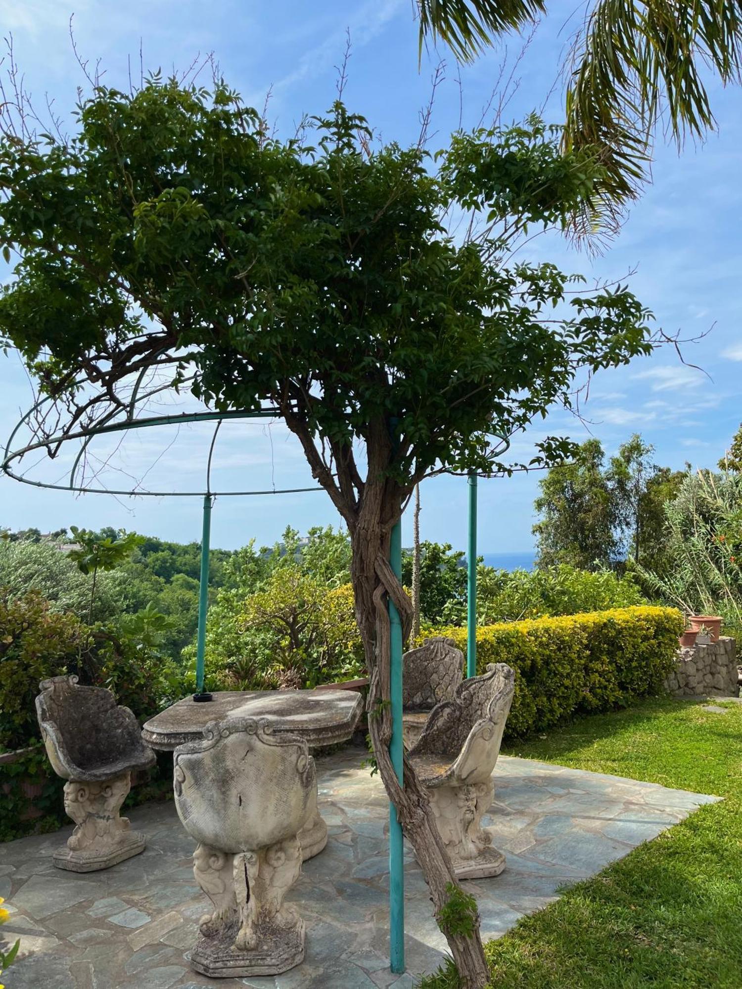 Resort Villa Flavio Casamicciola Terme Εξωτερικό φωτογραφία