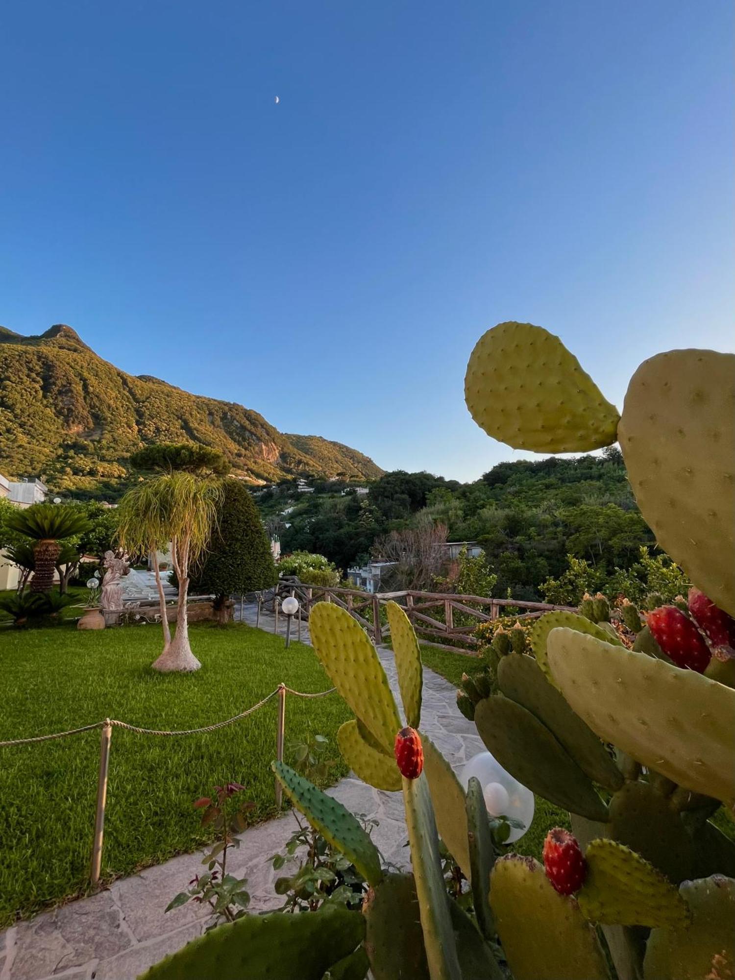 Resort Villa Flavio Casamicciola Terme Εξωτερικό φωτογραφία