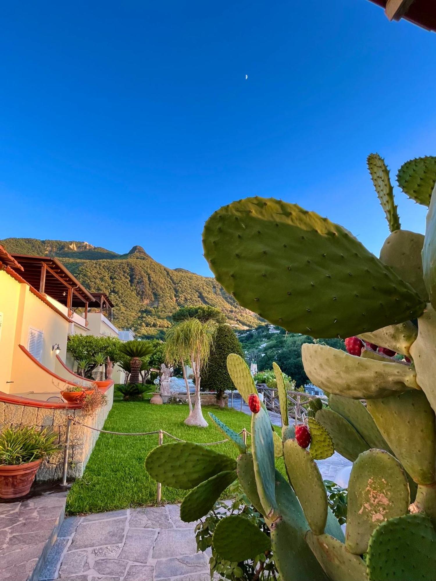 Resort Villa Flavio Casamicciola Terme Εξωτερικό φωτογραφία