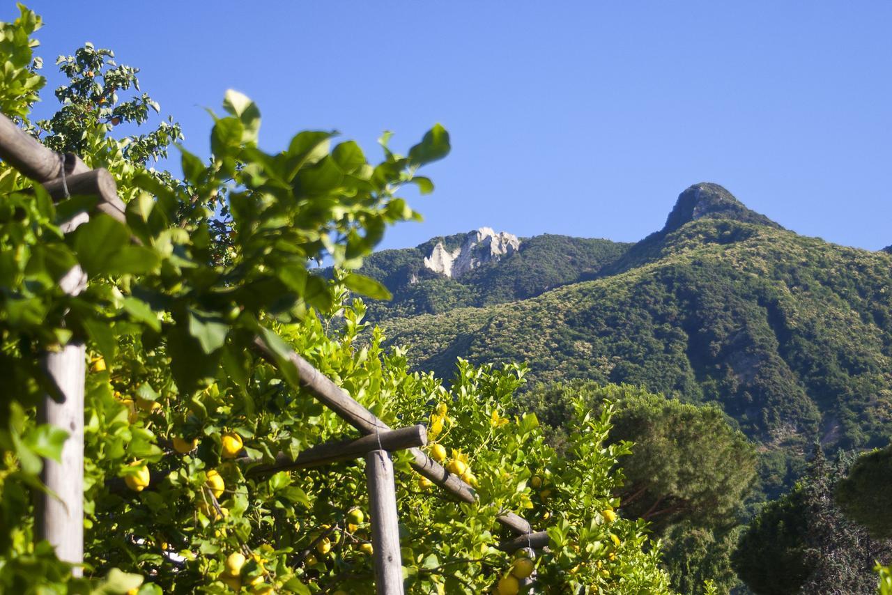 Resort Villa Flavio Casamicciola Terme Εξωτερικό φωτογραφία