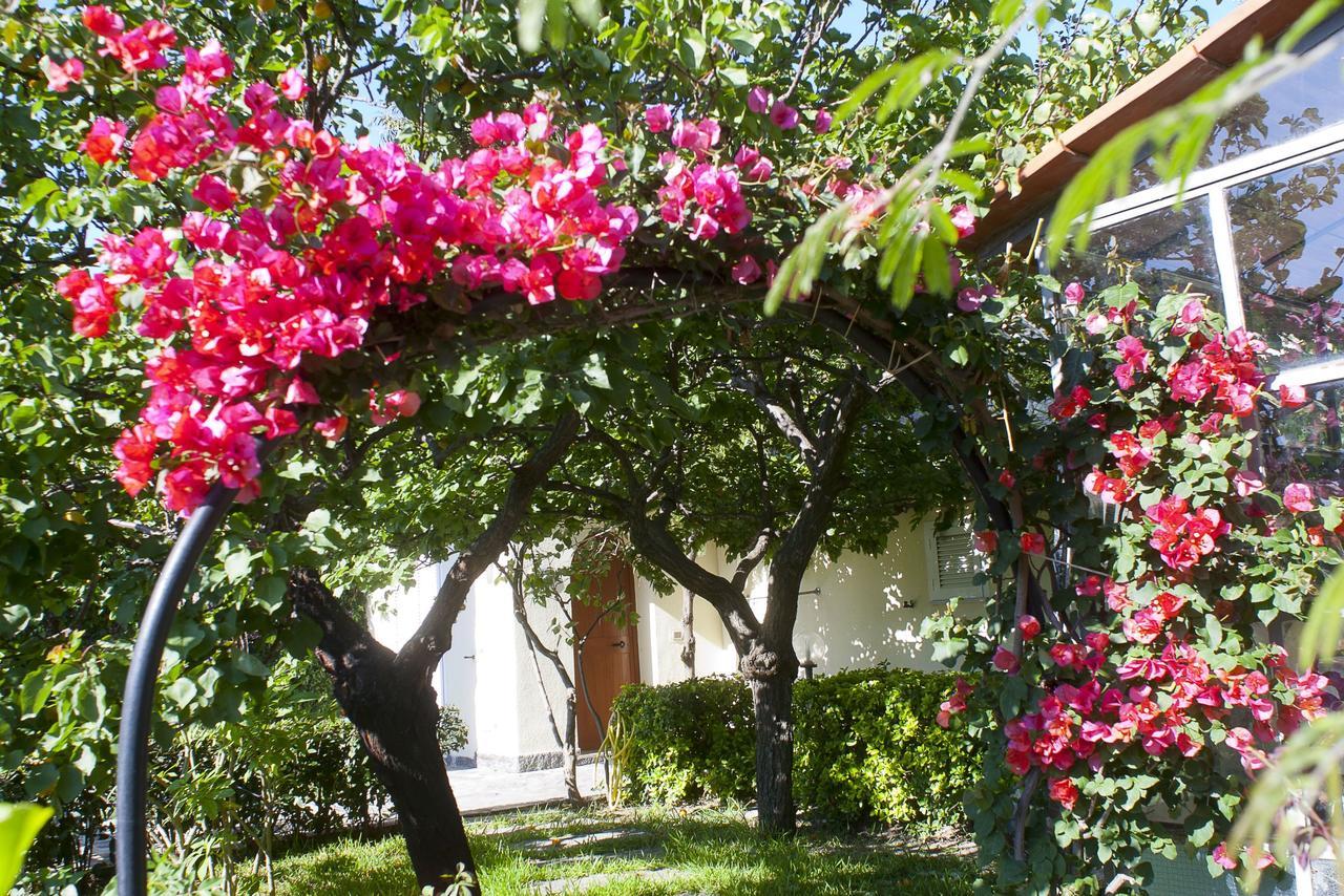Resort Villa Flavio Casamicciola Terme Εξωτερικό φωτογραφία