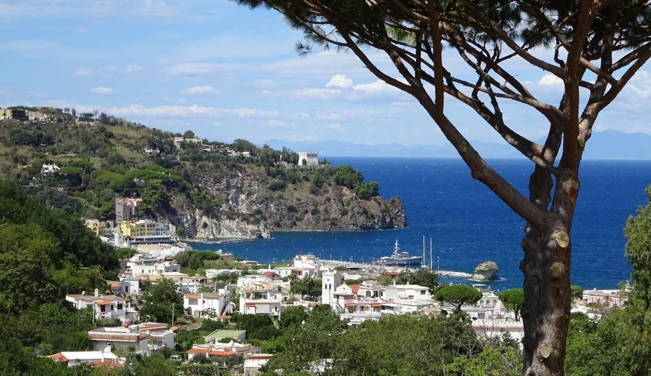 Resort Villa Flavio Casamicciola Terme Εξωτερικό φωτογραφία